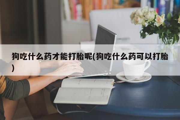 私人卖堕胎药的微信狗吃什么药才能打胎呢(狗吃什么药可以打胎)
